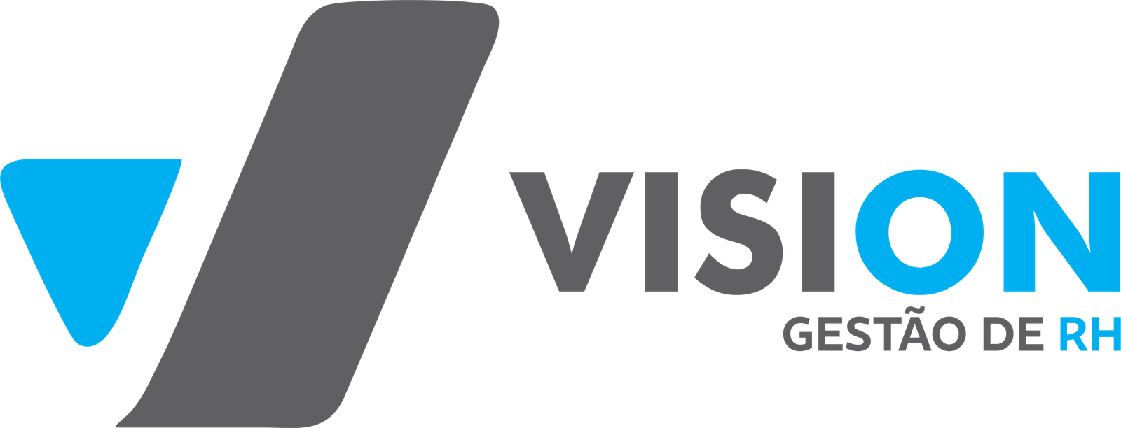 Vision Gestão de RH